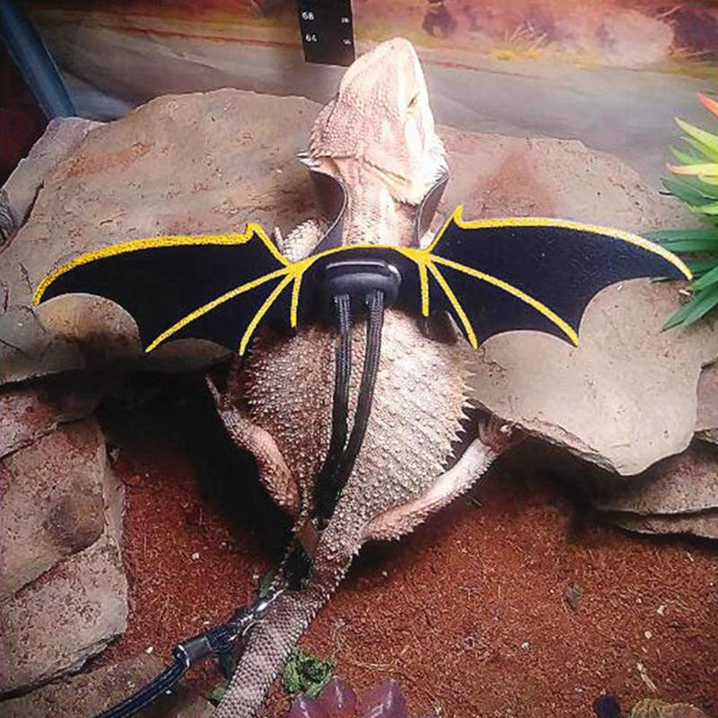Product Introduction of Bearded Dragon Leash and Harness 3pcs Vest Adjustable Reptile Walking Leashes 61