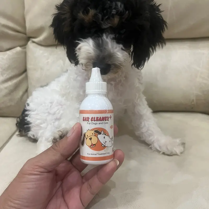 Pet shop bella * Ear Cleaner obat pembersih telinga anjing 65ml 1