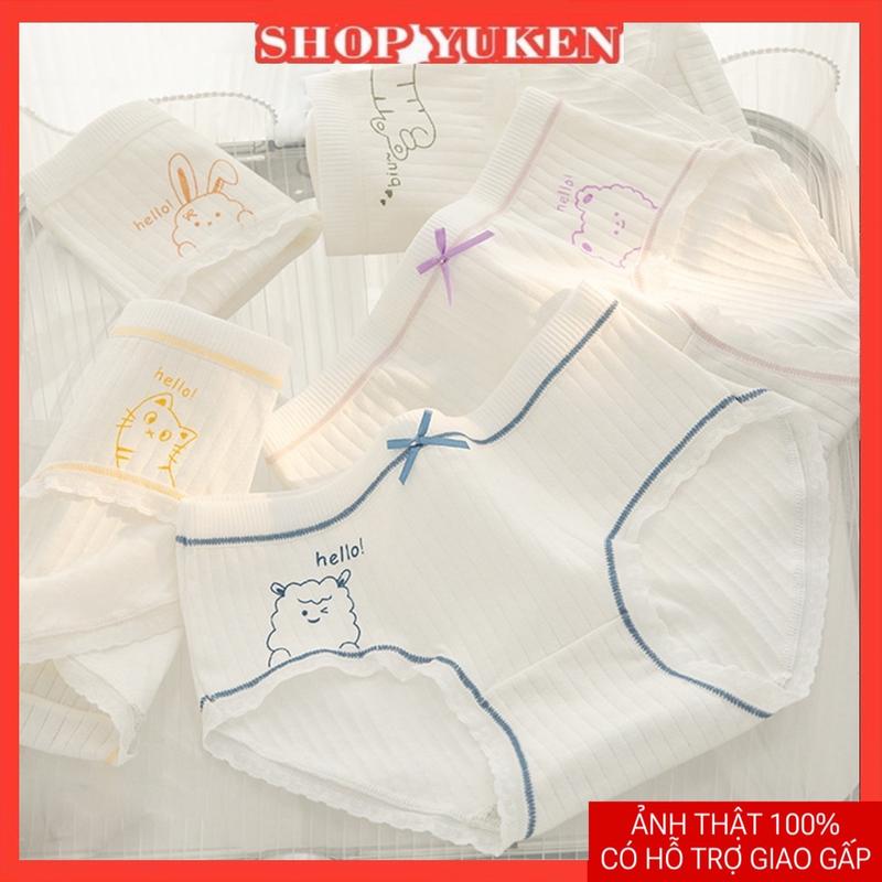 Combo 5 Quần Lót Kẻ Ghi In hình kute cho học sinh - sinh viên 35-65kg