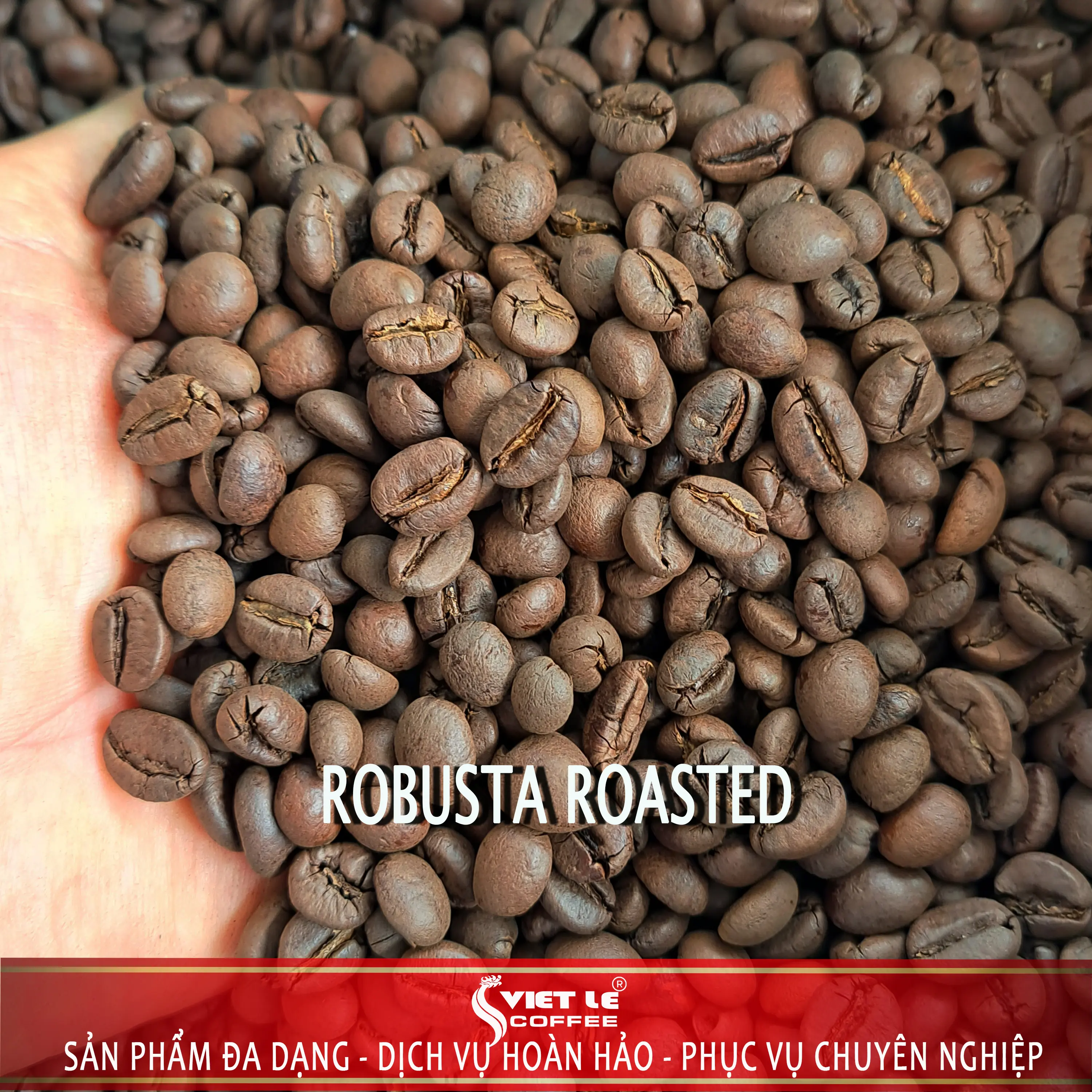 1kg Cà phê nguyên chất Robusta Đặc sản Buôn Mê Coffee Cafe Bột hoặc nguyên hạt