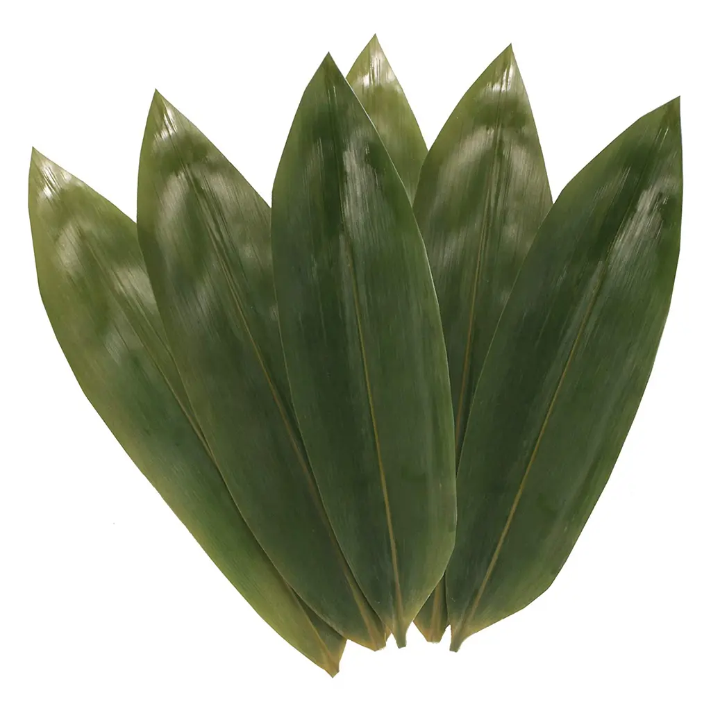100Pcs Natural Dried Zongzi Maker Kit Natural Fragrance Bamboo Leaves