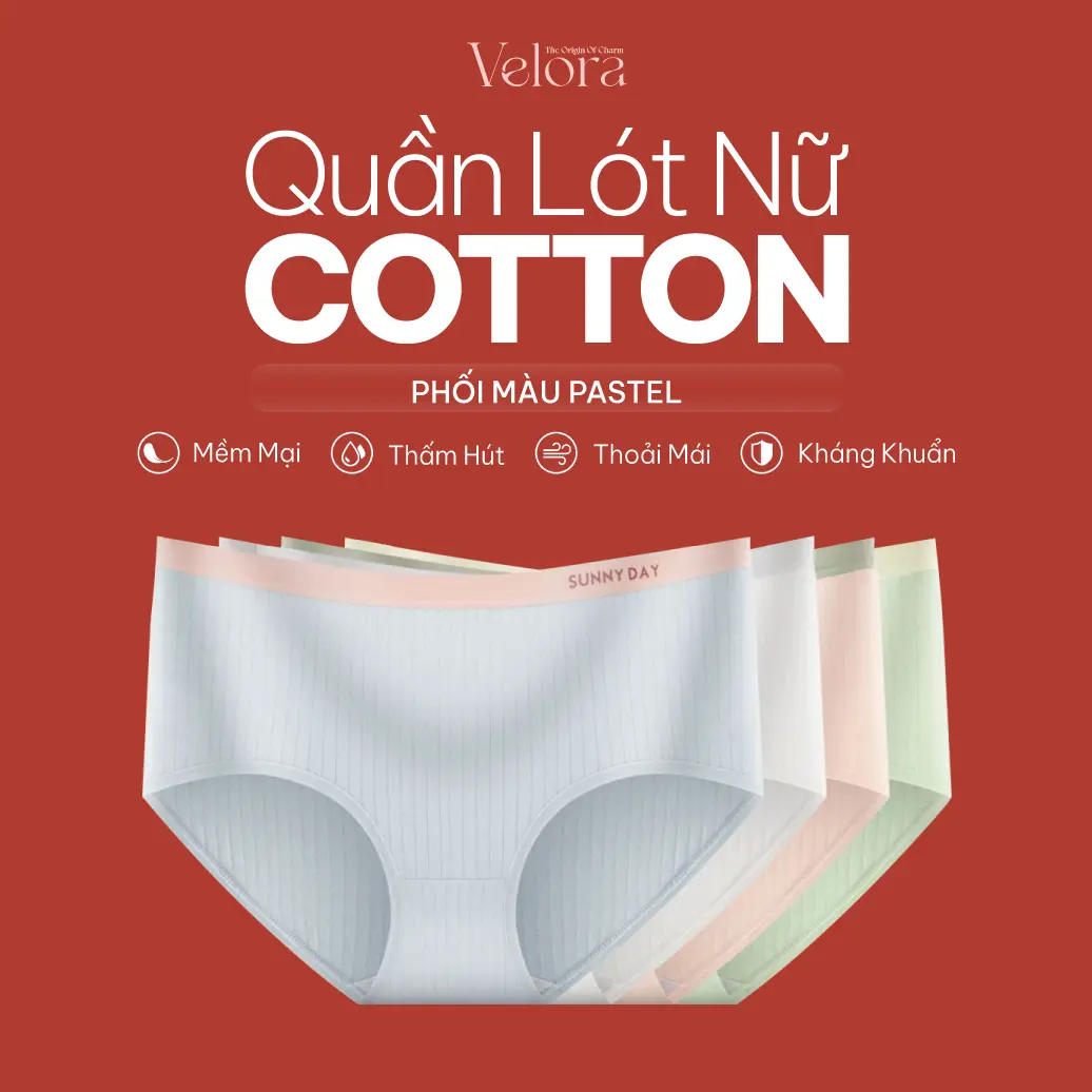 [Combo 5] Quần Lót Cotton Nữ Phối Màu Pastel Mềm Mại, Thấm Hút, Thoải Mái, Kháng Khuẩn - VELORA Women