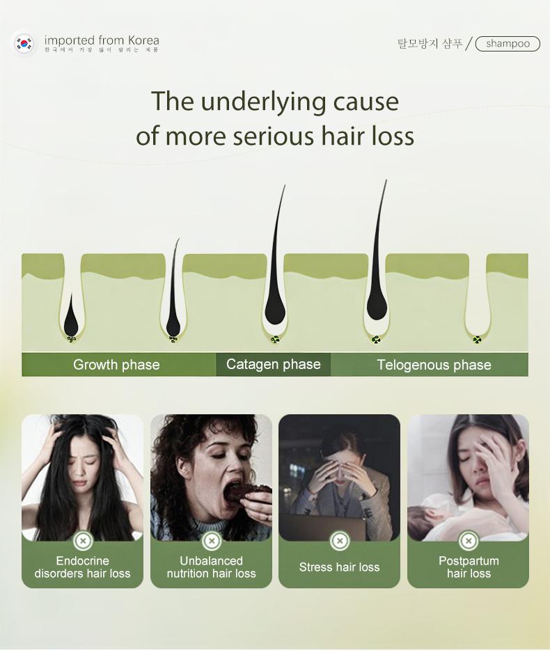 Dr.ville Anti Hair Fall Shampoo Shampo Anti Rontok & Berminyak Bikin Rambut Bervolume Anti Lepek Original Viral TikTok Recommended