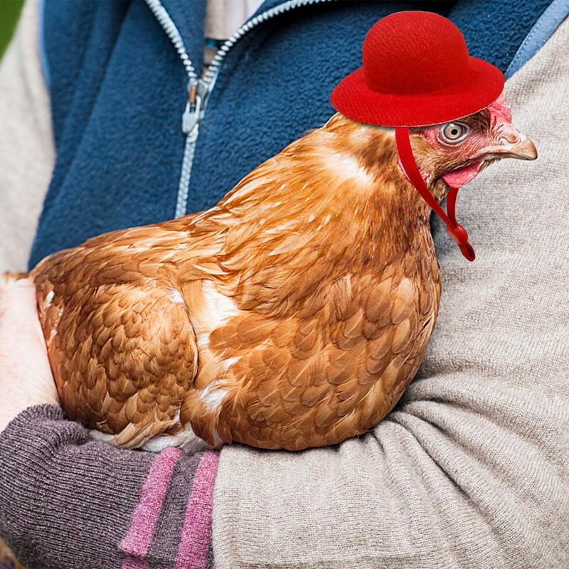 Product Introduction of Chicken Hamster Hat for Hens Tiny Pets Funny Accessories Farm Hen Top Hat for Rooster Duck Parrot Poultry Stylish Show Costume 13