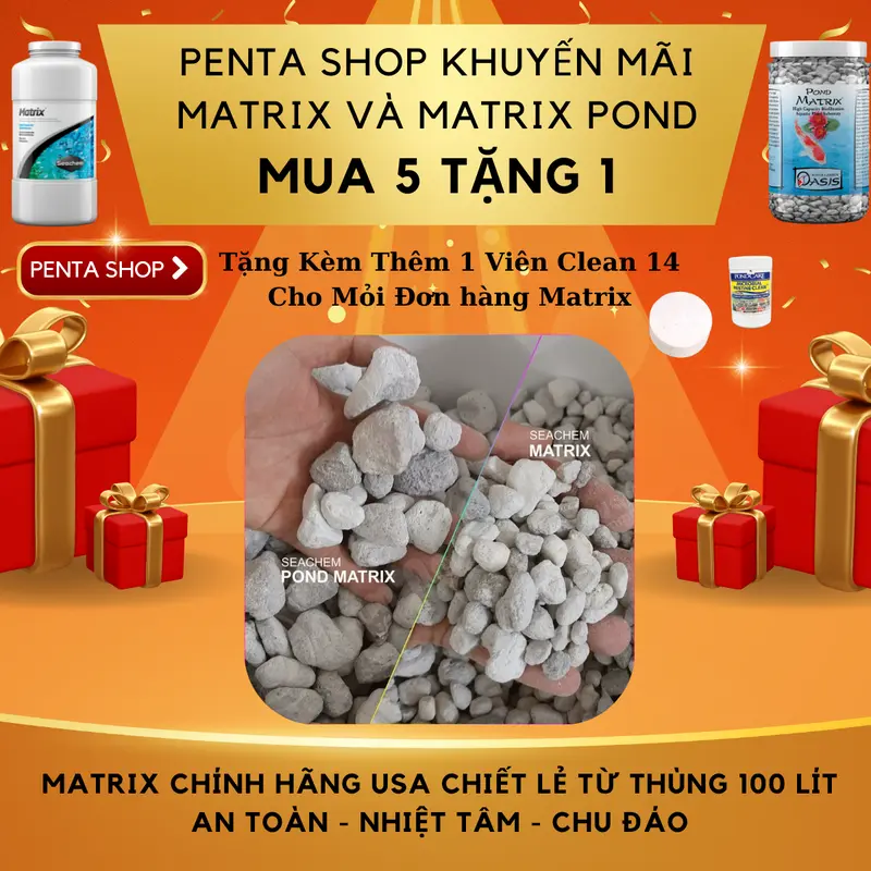 Đá Matrix Chính Hãng Seachem Dùng Để Xử Lý Khử Độc Trong Hồ Cá Cảnh ( Ngôi Nhà Lý Tưởng Cho Vi Sinh ) Mua 5 Tặng 1 và thêm 1 viên Clean 14 cho mỏi đơn hàng 0