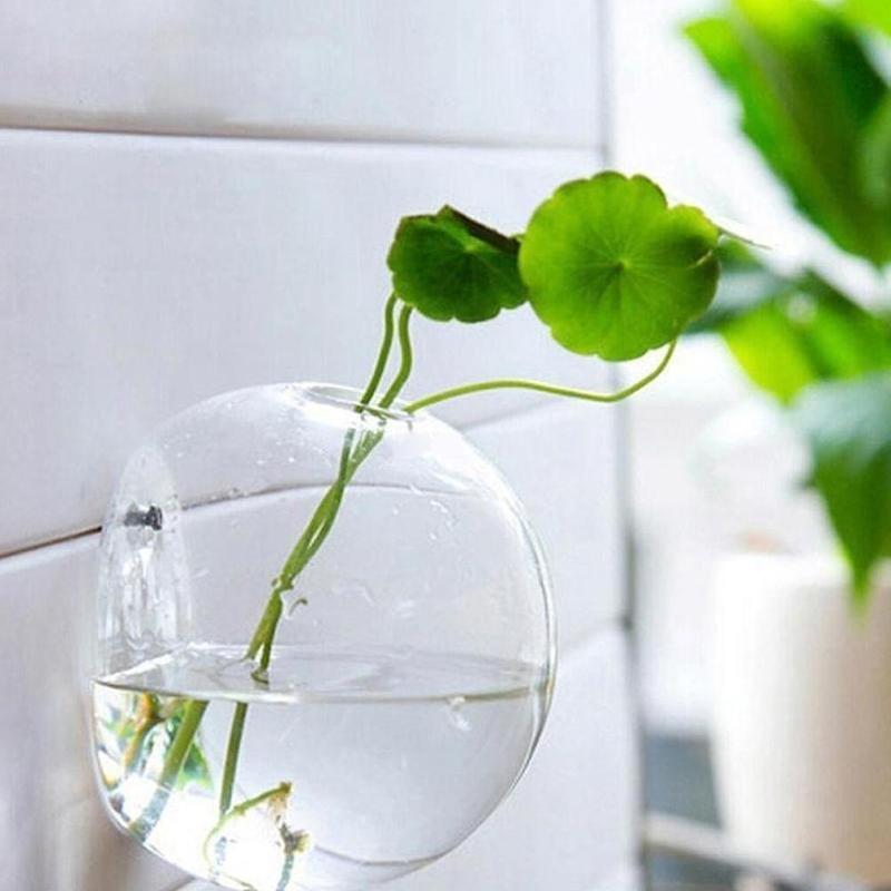 Bình Hoa Kính Treo Tường, Phong Cách Terrarium, Lò Xo Treo Tường, Chậu Cá, Thích Hợp Cho Bể Cá, Đồ Trang Trí Hoa, Trang Trí Nhà Cửa 1