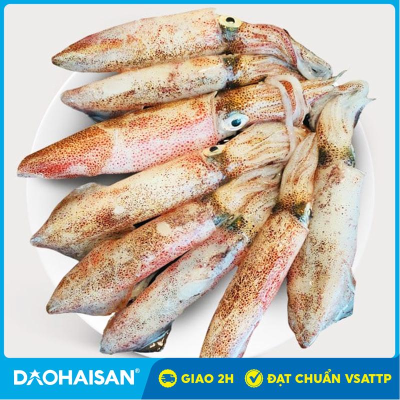 DHS - Giao 2H Mực Ống Trứng Lớn Đông Lạnh Khay 500g - Đảo Hải Sản