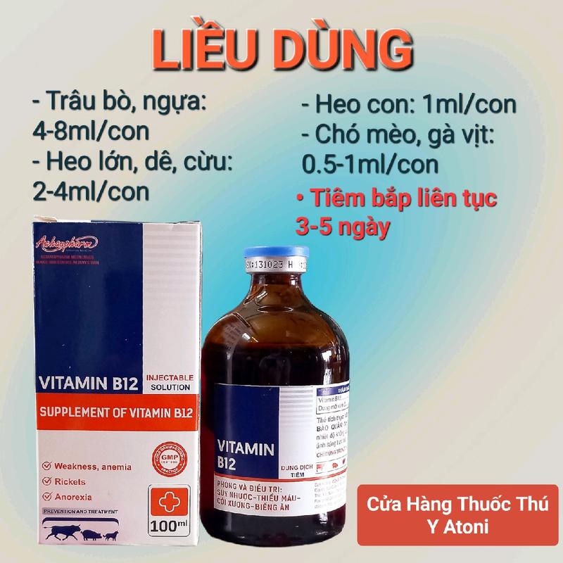 [Lọ 100ml] Vitamin B12 Thuốc tiêm còi cọc, biếng ăn, bổ máu trên gia súc, gia cầm kabi 3