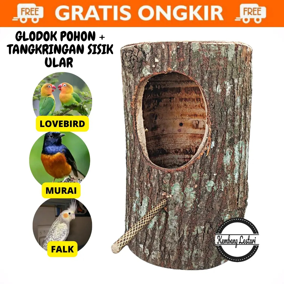 GLODOK BATANG POHON MURAI LOVEBIRD KENARI FALK