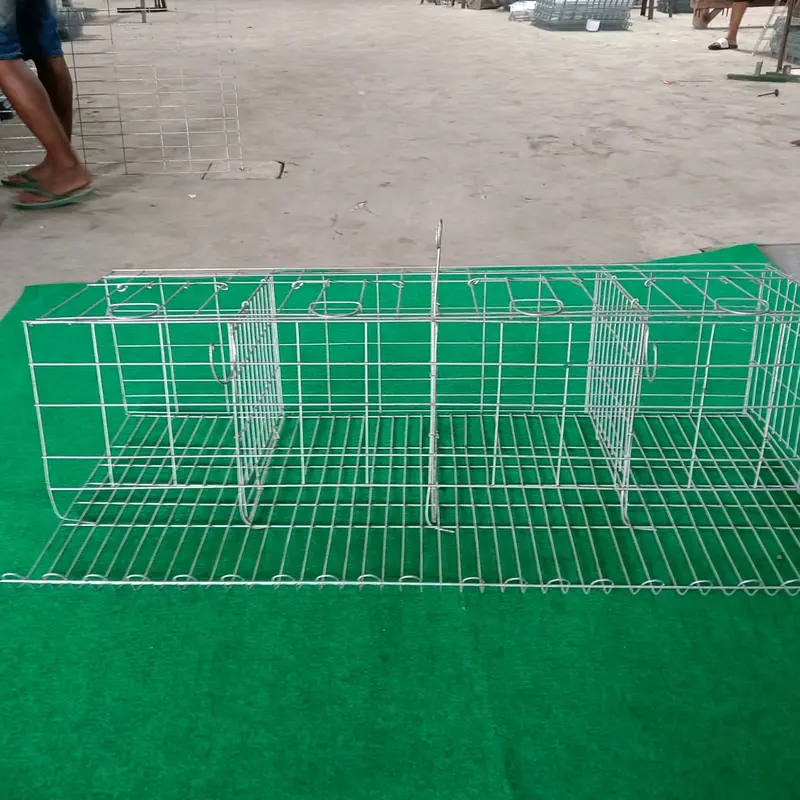 Kandang Baterai Ayam Petelur Pintu 4 0