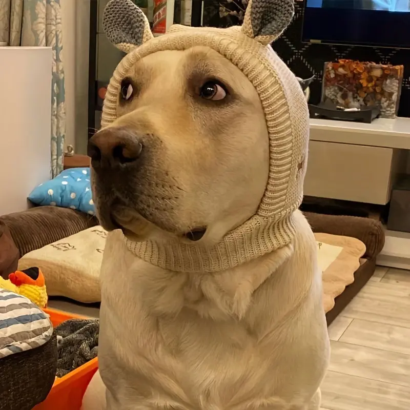 1pc Dog Ear Cover, Knitted Dog Hat, Warm Dog Earmuffs for Medium to Large Dogs, Noise Protection, Rabbit Clothing, Orange 6