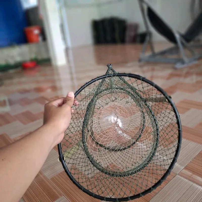 5 cái lờ cá vành nhựa 30*52 không cần mồi Đi Câu Bắt Cá Câu Cá Fishing Fish 3