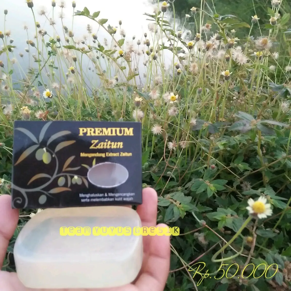 Sabun Zaitun Premium SPEED200 80gr Original