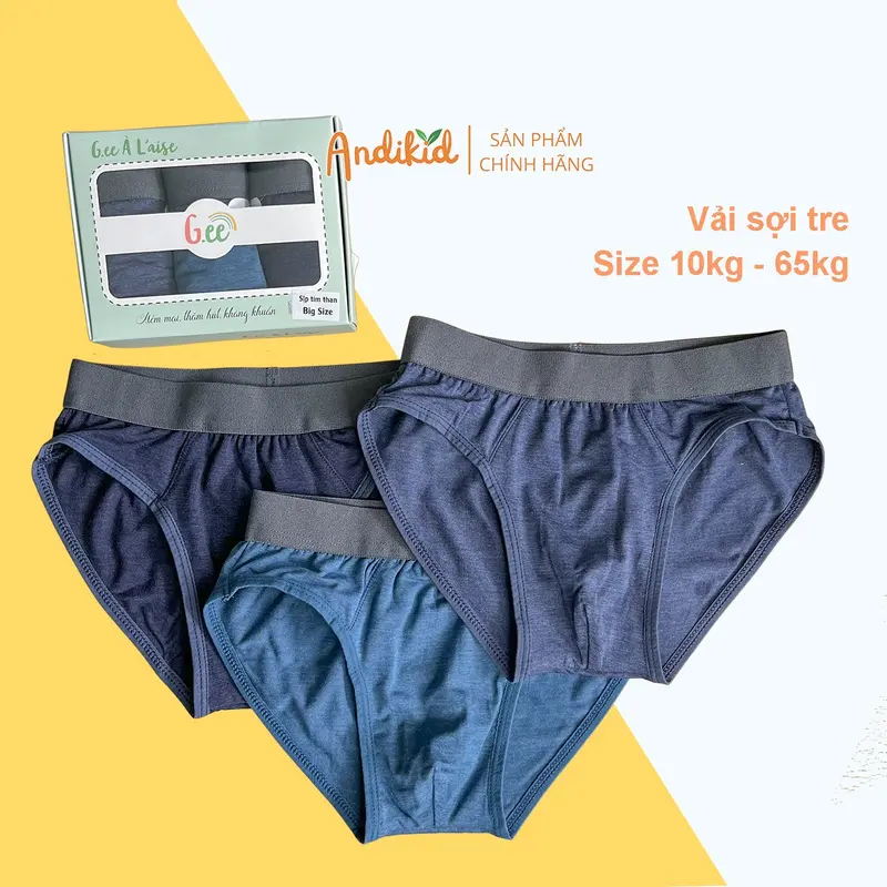 Quần sịp bé trai Gee vải sợi tre mềm mại, Combo 3 quần lót tam giác nam 10-65kg 0
