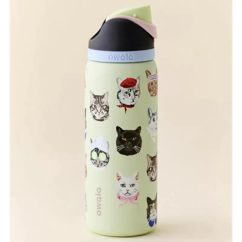 Kuromi Owala FreeSip Stainless-Steel Water Bottle With Locking