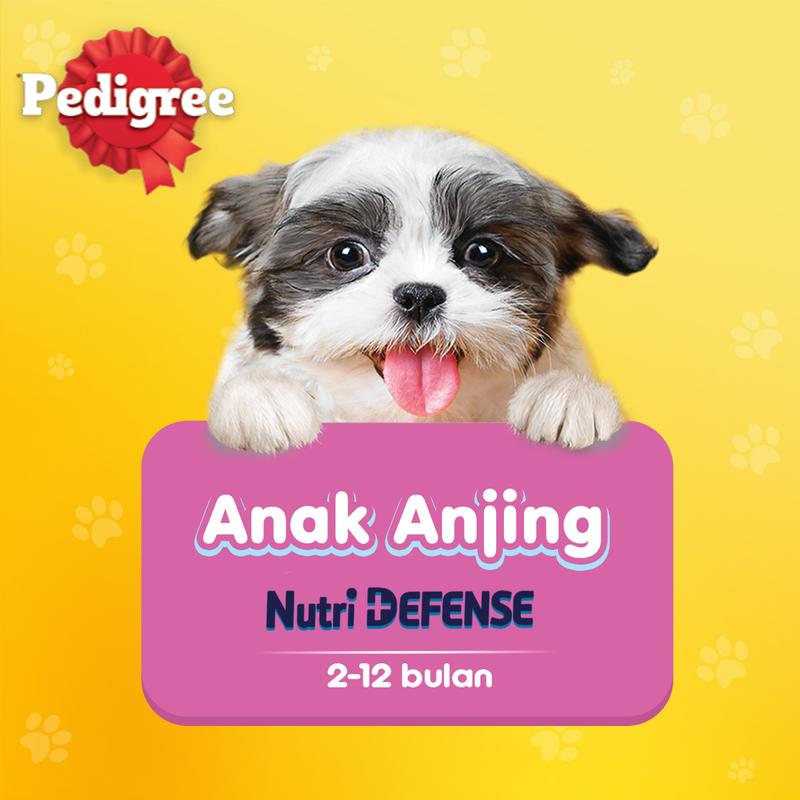 Pedigree Makanan Anak Anjing Basah Pouch rasa Chicken 130 gr- Isi 12 5