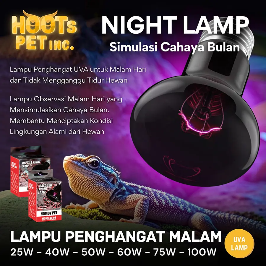 LAMPU NIGHT HEAT LAMP LAMPU UVA MALAM PENGHANGAT PEMANAS REPTIL REPTILE KURA TORTO NOMOY