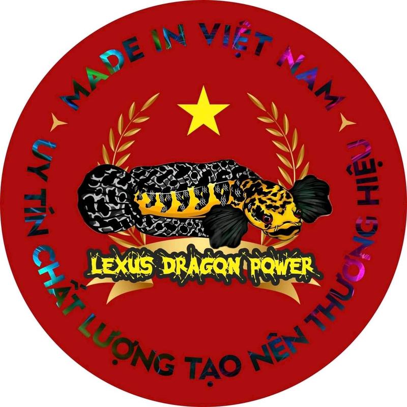Cám cá lóc LEXUS DRAGON POWER || Hỗ trợ phát triển viền vảy, đậm vạch cho lóc vảy rồng