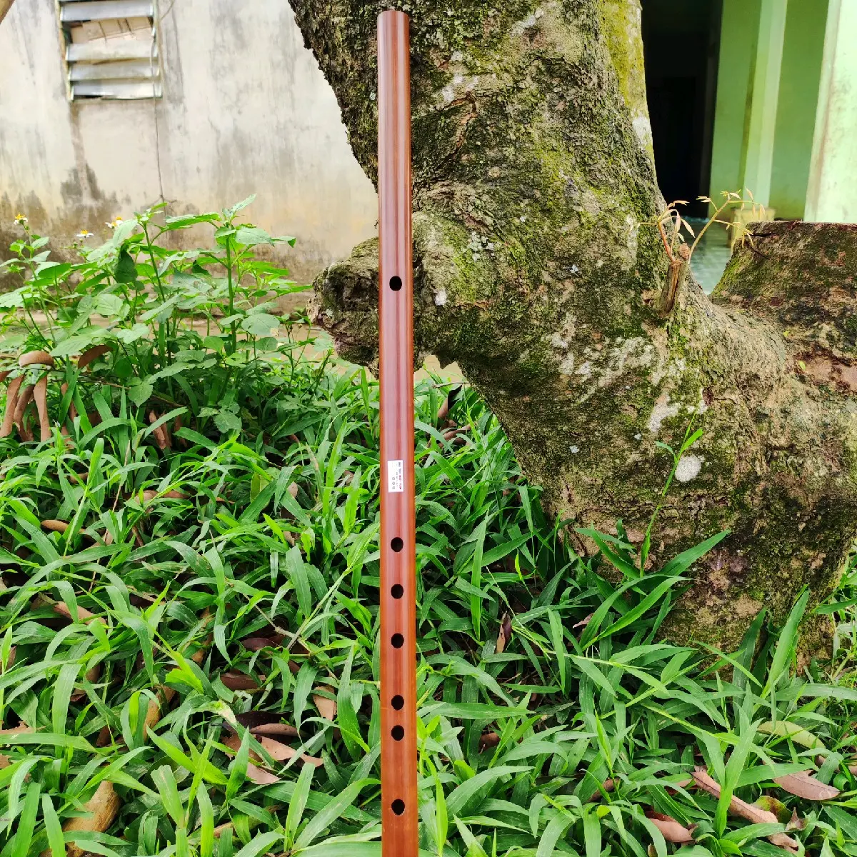 Sáo Nứa Sol Trâm - G4 biểu diễn