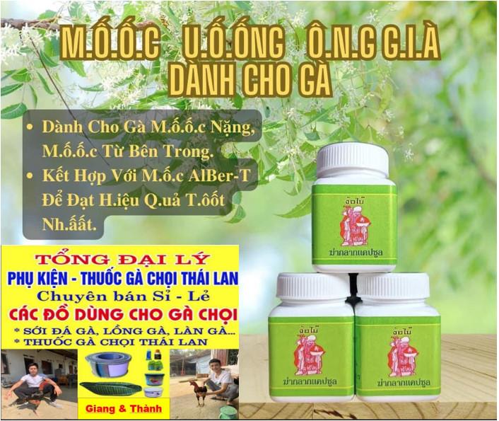 Mốc nấm uống cho gà đá lọ 10 viên hàng Thái Lan