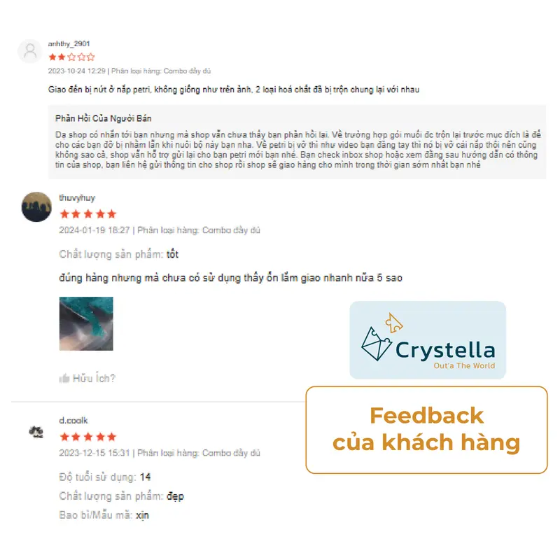 Bộ Nuôi Đơn Tinh Thể Ngọc Lục Bảo Crystella - Trải Nghiệm khám phá STEM Độc Đáo Với Tinh Thể Xanh Niken Hoàn Hảo tại nhà 8
