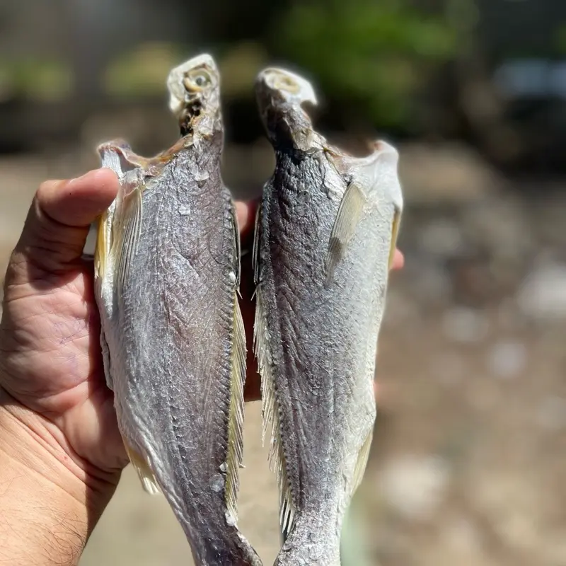 Khô Lù Đù Loại 1 (12-15/kg) - Vị Mặn, Ngâm Nước Giảm Mặn - Food
