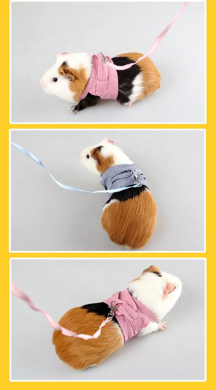 Product Introduction of S/L Small Pets Chest Strap Hamster Outdoor Traction Rope Adjustable Harness Leash Vest for Rabbit Hedgehog Chinchilla Guinea Pig 4