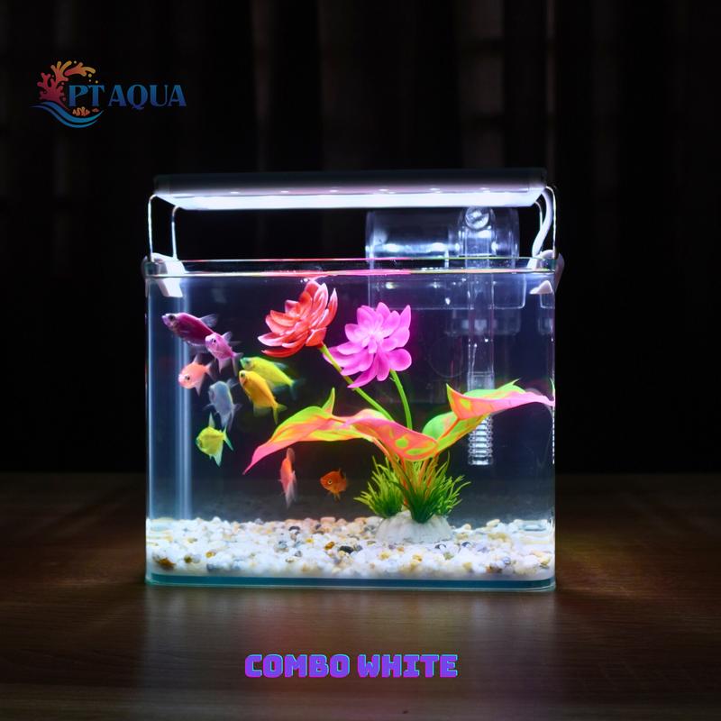 Bể cá mini Đúc uốn cong 20x14x16cm để bàn Với nhiều mẫu lựa chọn có kèm phụ kiện sỏi nền và cây nhựa