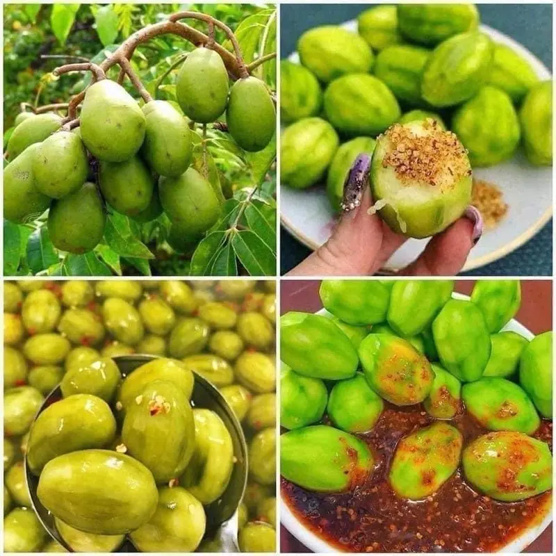 Cây giống Cóc Thái dễ trồng, sai quả, sạch sâu bệnh ổi giống  cây siêu  thị ăn 4