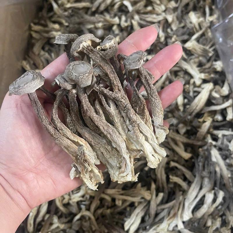  Sản phẩm Nấm Lộc Nhung khô 100g dùng để nấu canh lẩu nước dùng gỏi,... - Food Chè 