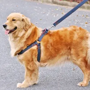 Tali Anjing Denim/ Harness / Collar Kalung Anjing / DOG Leash / Tali Anjing Besar / Tali tuntun anjing kucing bahan Jeans