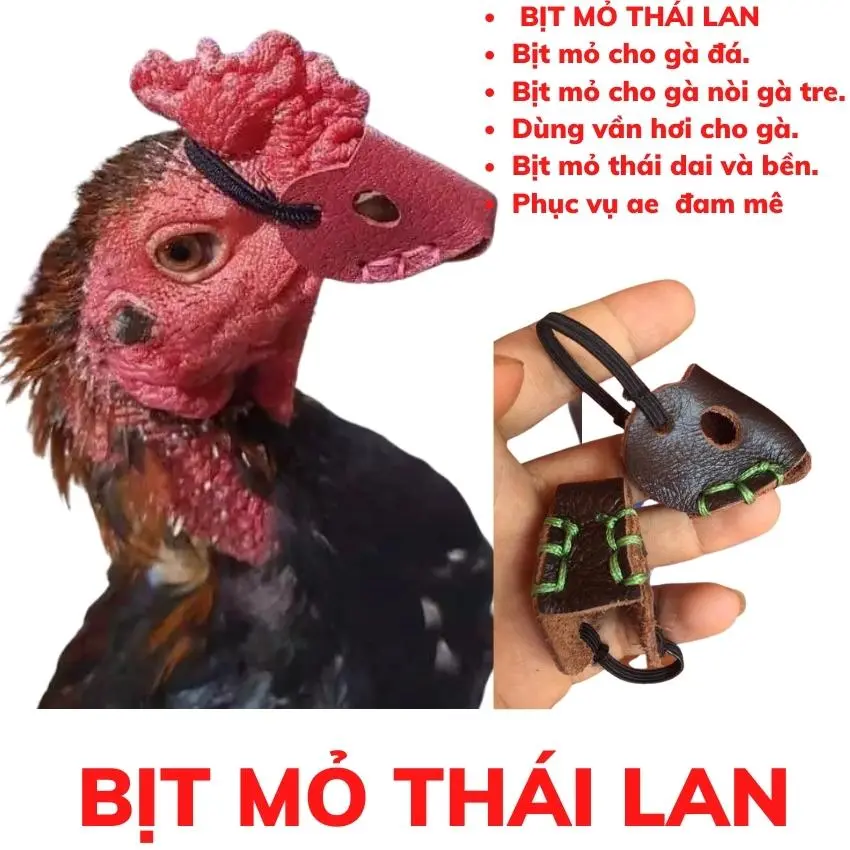 Bịt mỏ thái lan giành cho gà chọi vần hơi.