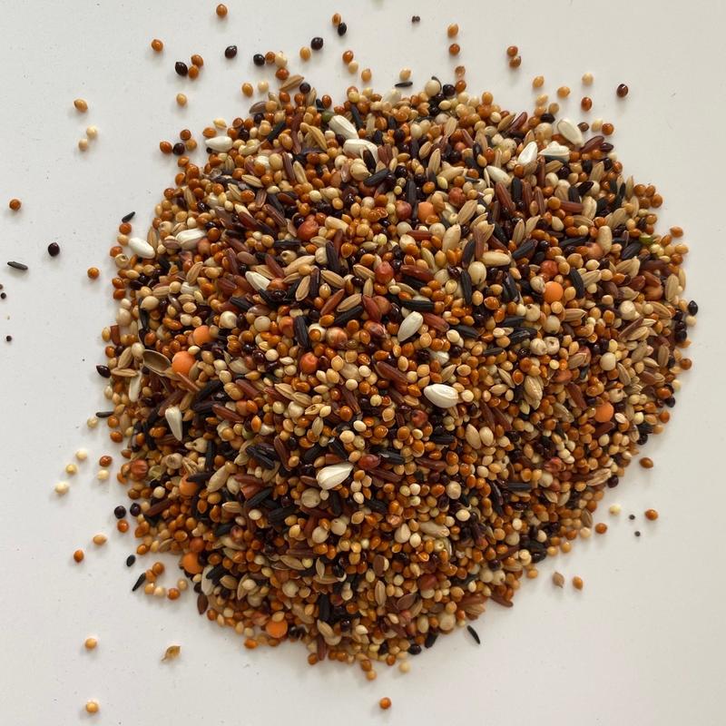  2kg hạt ngũ cốc làm thức ăn cho chim cu gáy bồ câu két vẹt đa đa yến phụng... 20 loại cao cấp 100% thiên nhiên dùng cám  chất 