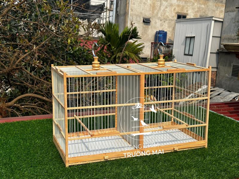 lồng lực chào mào, khung lực tự ráp gỗ sến nan cáp quang 80 làm 2 ngăn ( đã ráp sẵn 6 mặt) - có video hướng dẫn