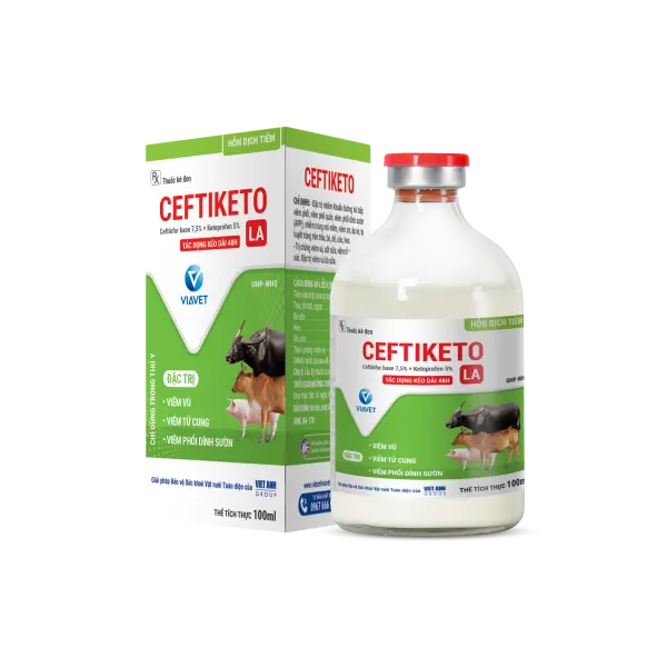 CEFTIKETO LA - ĐẶC TRỊ VIÊM VÚ  VIÊM TỬ CUNG  VIÊM PHỔI DÍNH SƯỜN