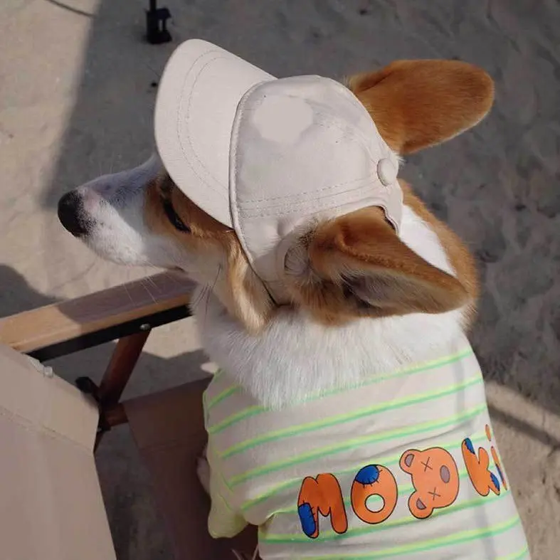 Korean Style Ins New Dog Hat Small Dog Puppy Adjustable Sunshade Exposed Ears Pet Baseball Cap