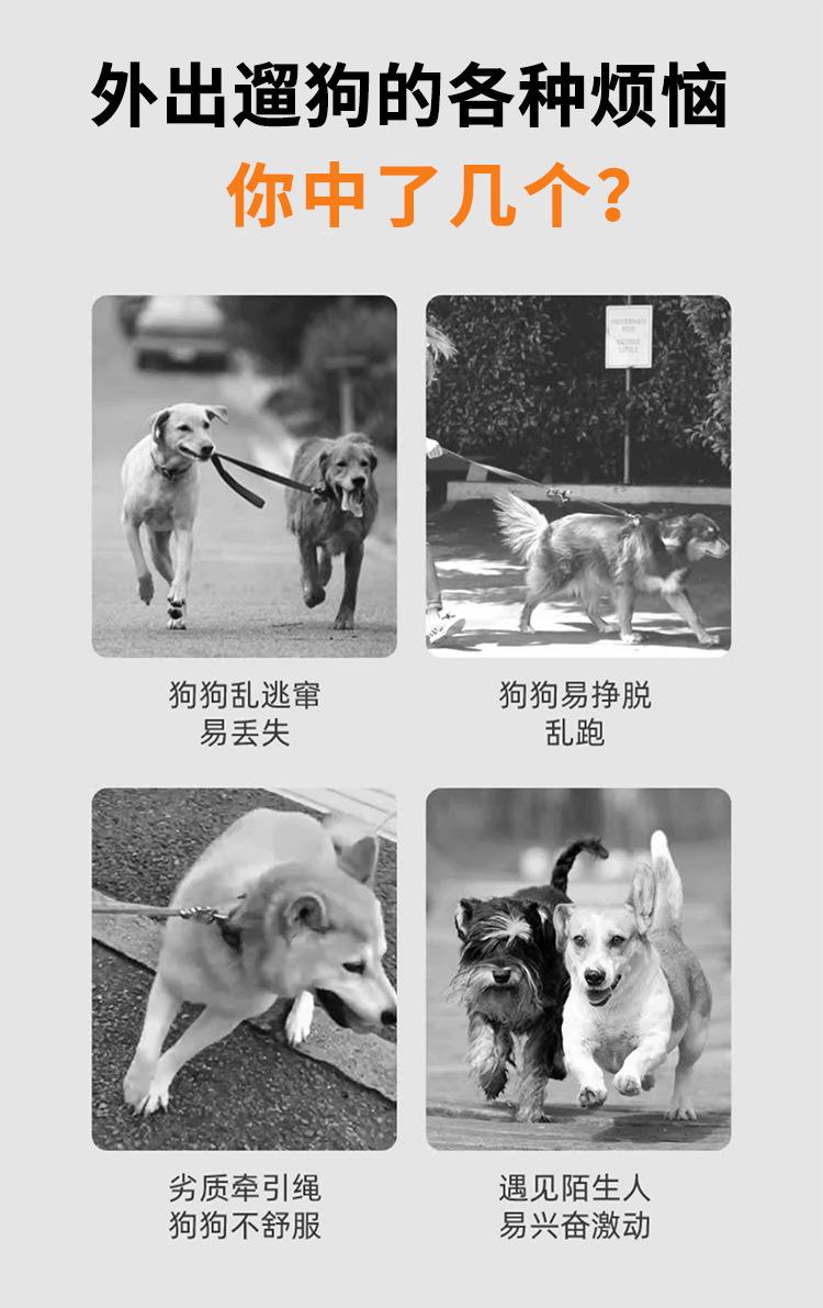 Product Introduction of Dog Harness for Outdoor Use, Breathable Vest for Small and Medium Dogs, Pet Walking Leash for Puppies, Corgis, Shiba Inus 1