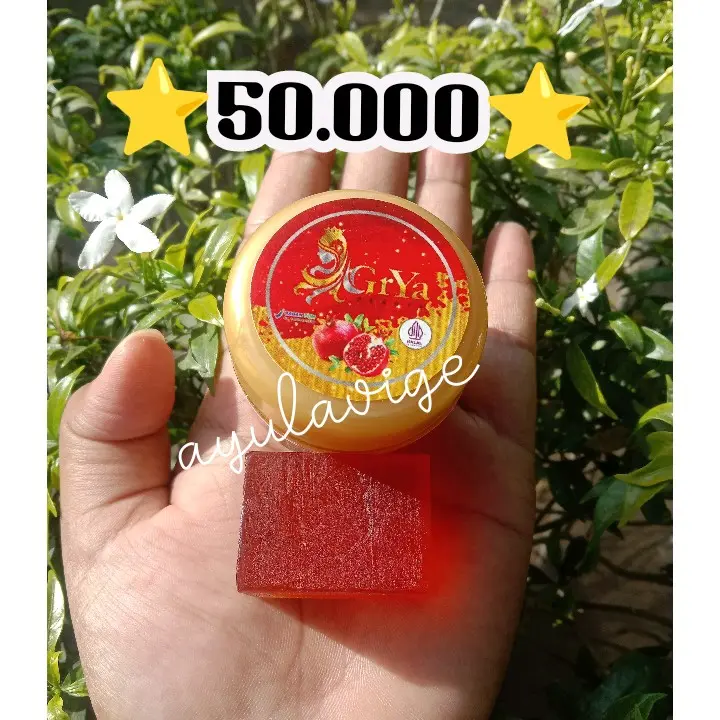 PAKET HEMAT GRYA BEAUTY CREAM +SABUN DNA SALMON Semua Jenis Kulit