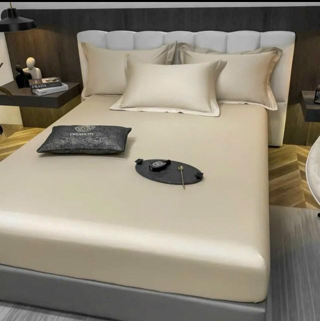 Product Introduction of BỘ 3 MÓN GA VÀ VỎ GỐI LỤA THÁI - CHẤT LIỆU MÁT MẺ, MÀU SẮC TRẺ TRUNG - Ga bo chun đệm được 10p. 71