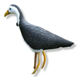 JONTROT KAREO PEMIKAT BURUNG KAREO