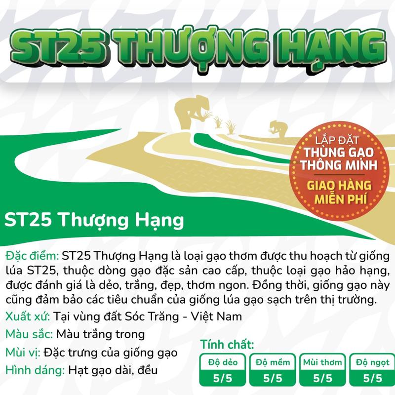 [QUÀ TẶNG KHI MUA 10KG: DẦU ĂN/NƯỚC MẮM/1 KG ĐƯỜNG] Gạo ST25 Thượng Hạng 2 Túi 5kg  - Gạo Công Nghệ Chất Việt 1