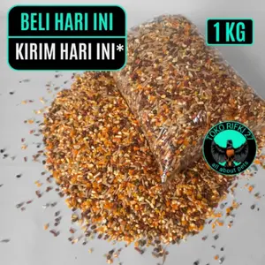 JAGUNG PECAH CAMPUR SUPER PAKAN BURUNG PUTER BANGKOK/TEKUKUR/AYAM ADU