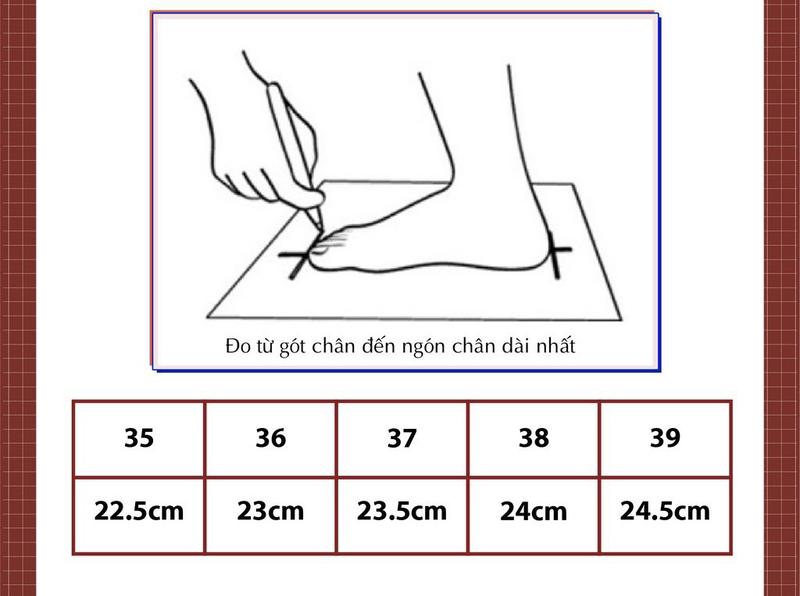 Product Introduction of ( lùi 1-2 size) Giày sục nữ mũi nhọn nơ khóa D( sục nhon d) Shoes DéP 0