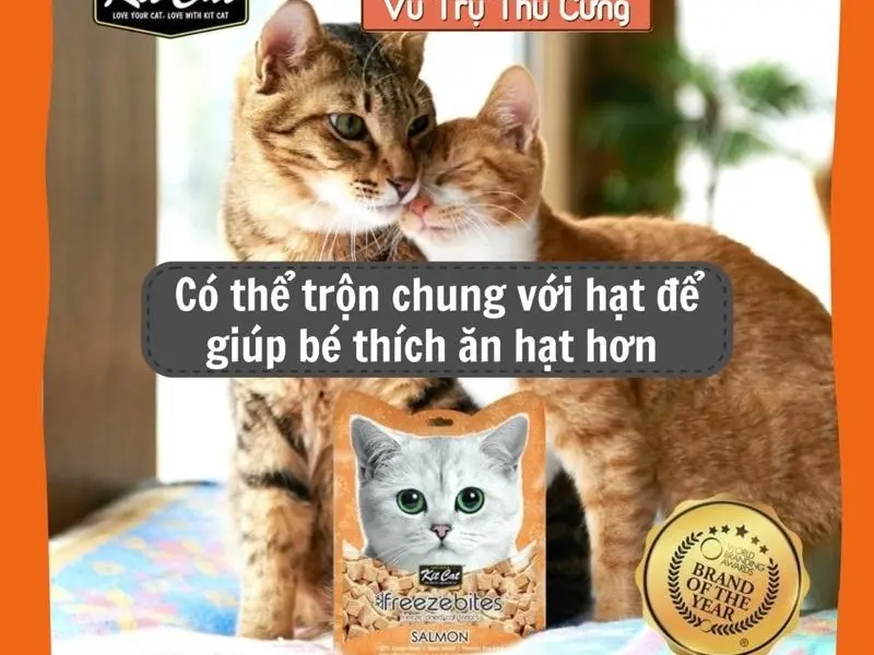 Snack Thịt Gà Sấy, Cá Sấy dinh dưỡng Cho Chó Mèo 8