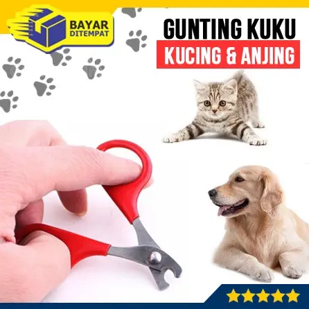 [COD] Gunting Kuku PENDEK Kucing Anjing Kelinci Binatang Hewan