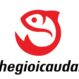 Thế Giới Câu Đài - Shop