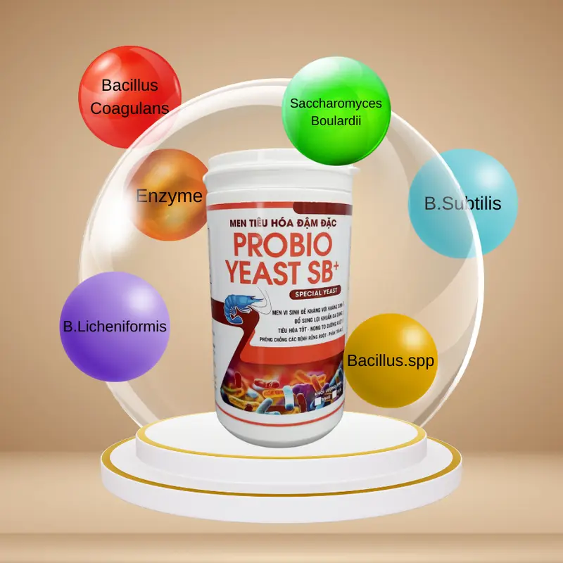 PROBIO YEAST SB+ [454 g/lon] - Men tiêu hóa đậm đặc - Men vi sinh đề kháng với kh.áng si.nh, bổ sung lợi khuẩn đa dạng, tiêu hóa tốt, nong to đường ruột, phòng chống các bệnh rỗng ruột, phân trắng trên tôm. 4