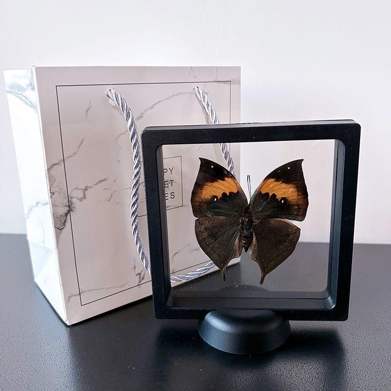 Product Introduction of Real Butterfly Specimens Floating Boxed Domestic Ornaments Has Spread Wings Creative Birthday Gift Popular Science Teaching Aids 9