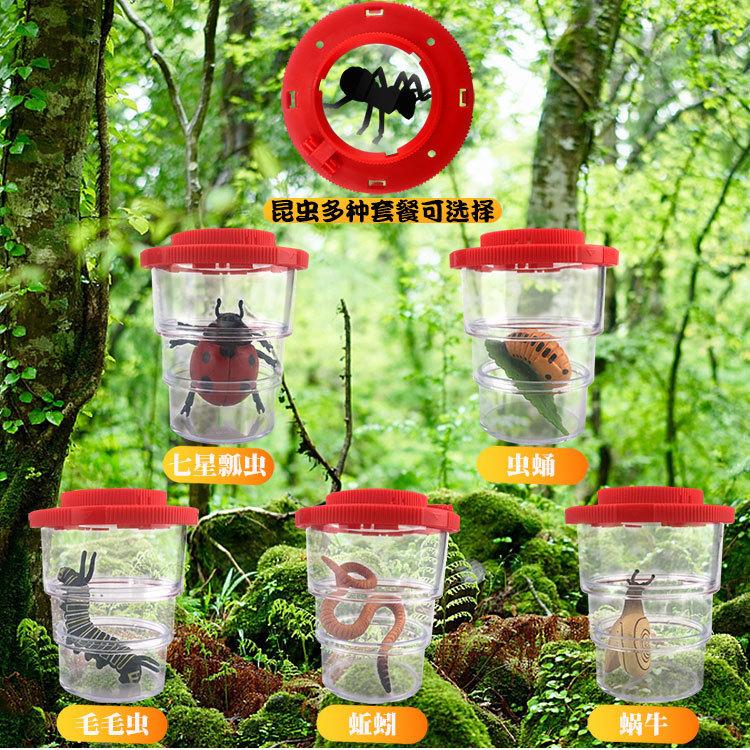 Children's Insect Observation Box Toy Magnifying Glass Biological ...