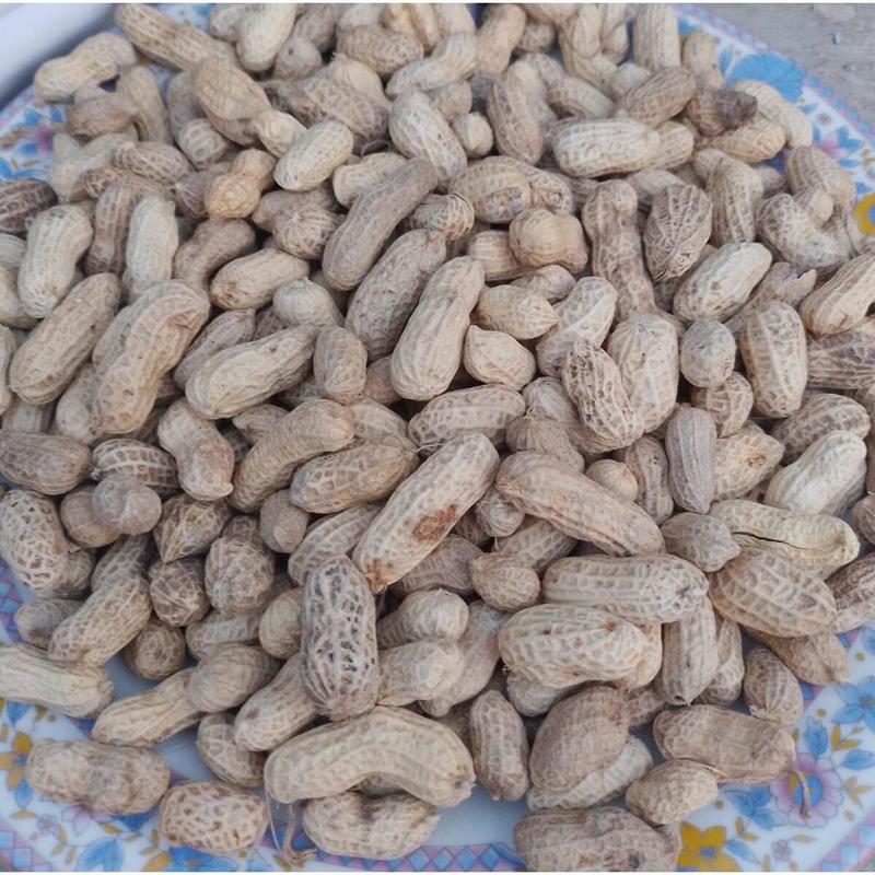 kacang kulit asin super 1ball 2.5kg kacang sangrai super 2